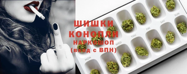 apvp Козельск