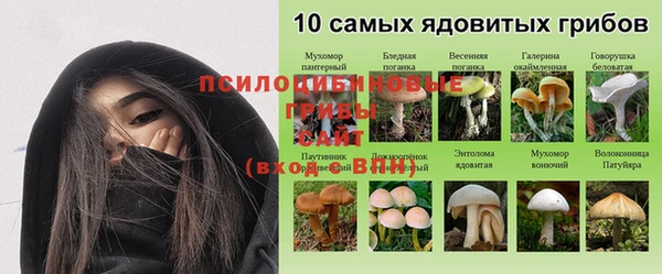 эйфоретик Козловка