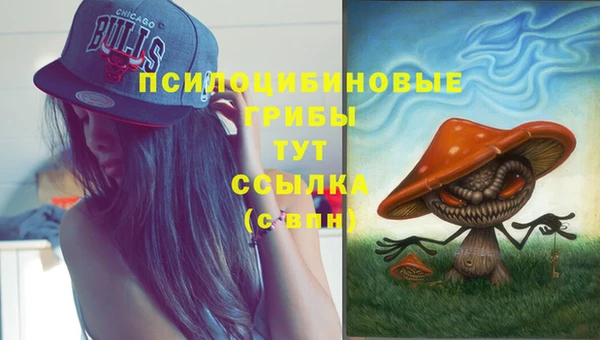 соль курить ск Краснослободск